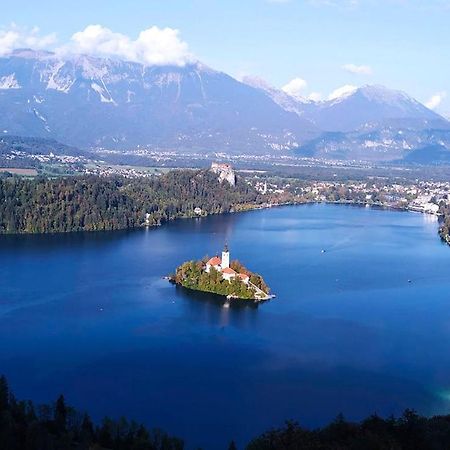 Alex Guest House Bohinjska Bela Dış mekan fotoğraf