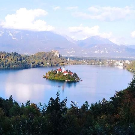 Alex Guest House Bohinjska Bela Dış mekan fotoğraf