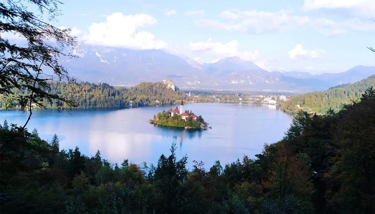 Alex Guest House Bohinjska Bela Dış mekan fotoğraf