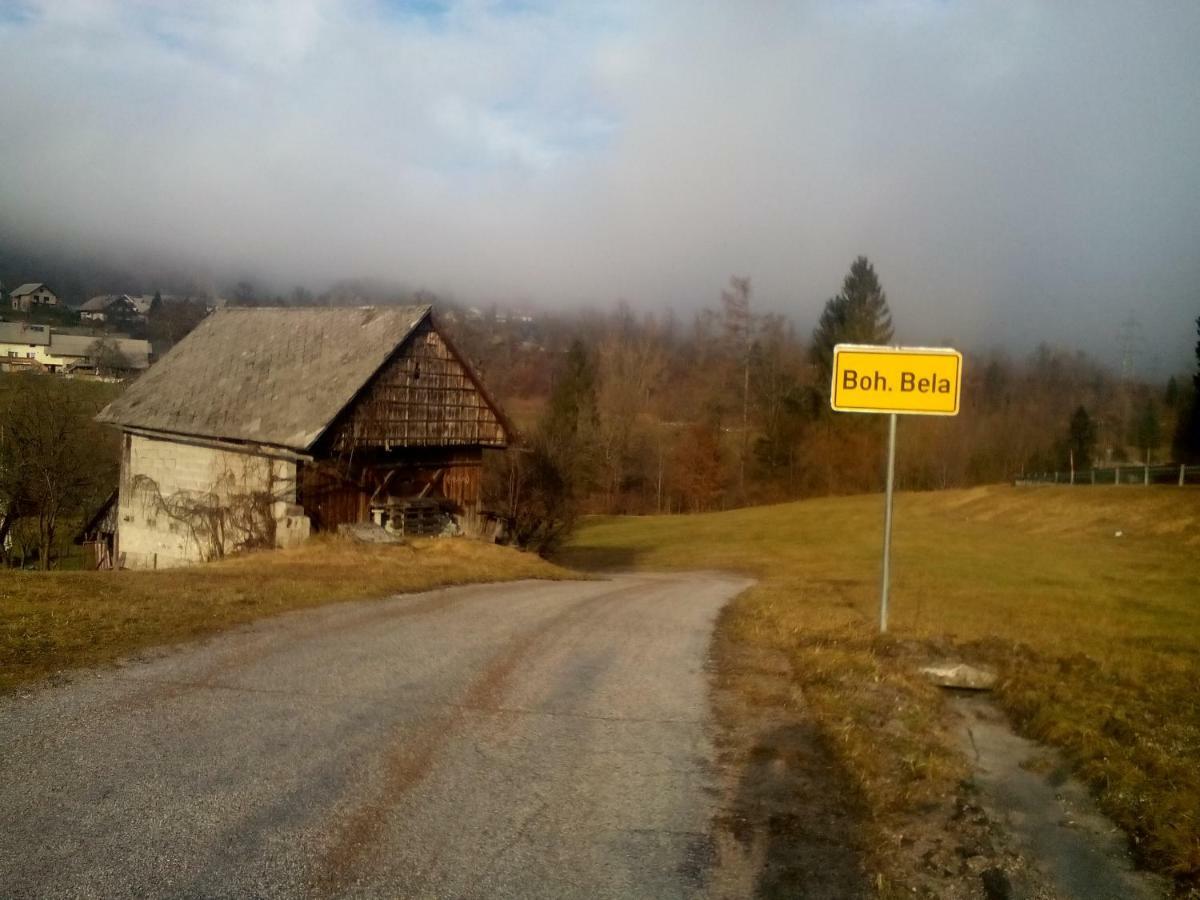 Alex Guest House Bohinjska Bela Dış mekan fotoğraf